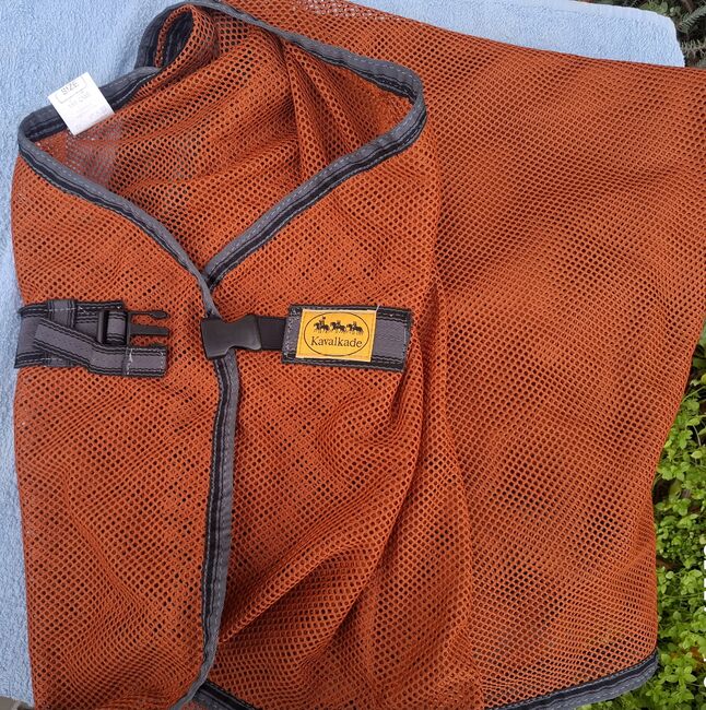 Kavalkade Fliegendecke, Kavalkade , Denise , Horse Blankets, Sheets & Coolers, Berlin