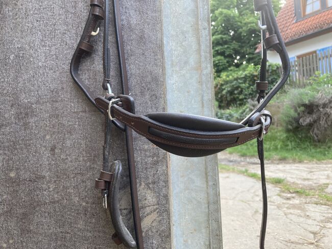 Trense Levana von Kavalkade Größe Warmblut, Kavalkade  Levana , S. Roßberg , Bridles & Headstalls, Burgbernheim, Image 3