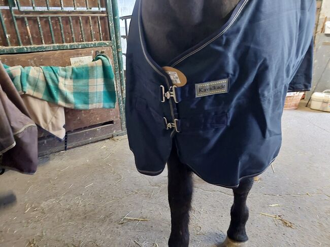 Kavalkade Outdoor Decke Montreal 155cm, 100g,Navy, Kavalkade Montreal, Astrid, Horse Blankets, Sheets & Coolers, Marburg