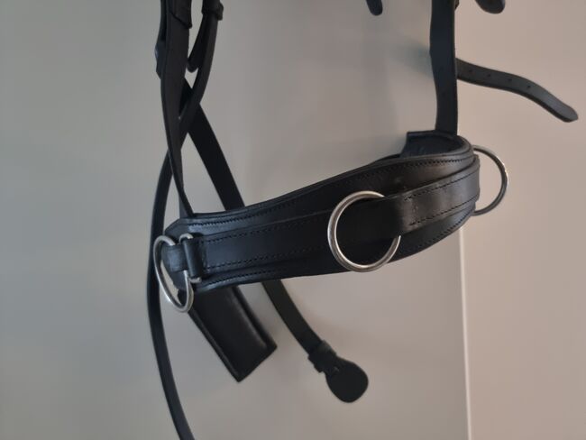 Weicher Leder-Kappzaum, CC, ähnl. Waldhausen Kappzaum, Gaby, Nosebands, Reinbek, Image 3