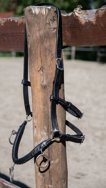 Kappzaum in Größe Cob, Nina, Lunging, Nordermeldorf