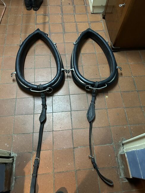 Kellinghusen 2-spänner Geschirr, Geraldine Wiedemann, Horse Harness, Leubsdorf, Image 5