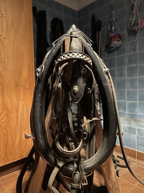 Kellinghusen 2-spänner Geschirr, Geraldine Wiedemann, Horse Harness, Leubsdorf