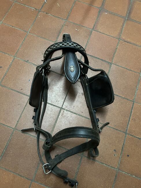 Kellinghusen 2-spänner Geschirr, Geraldine Wiedemann, Horse Harness, Leubsdorf, Image 8