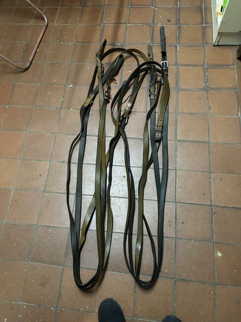 Kellinghusen 2-spänner Geschirr, Geraldine Wiedemann, Horse Harness, Leubsdorf, Image 9