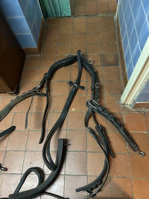 Kellinghusen 2-spänner Geschirr, Geraldine Wiedemann, Horse Harness, Leubsdorf, Image 10