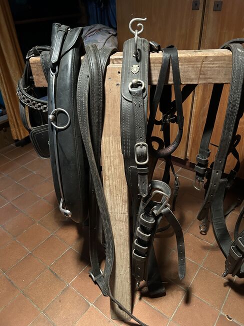 Kellinghusen 2-spänner Geschirr, Geraldine Wiedemann, Horse Harness, Leubsdorf, Image 14