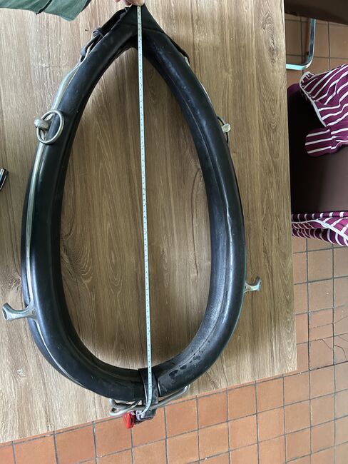 Kellinghusen 2-spänner Geschirr, Geraldine Wiedemann, Horse Harness, Leubsdorf, Image 15