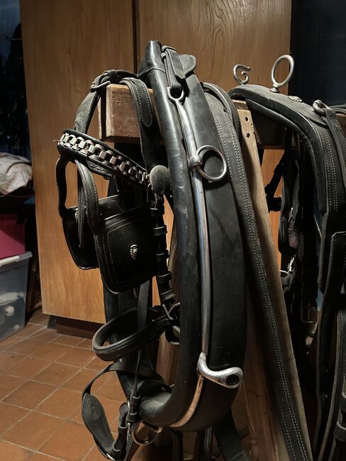 Kellinghusen 2-spänner Geschirr, Geraldine Wiedemann, Horse Harness, Leubsdorf, Image 16