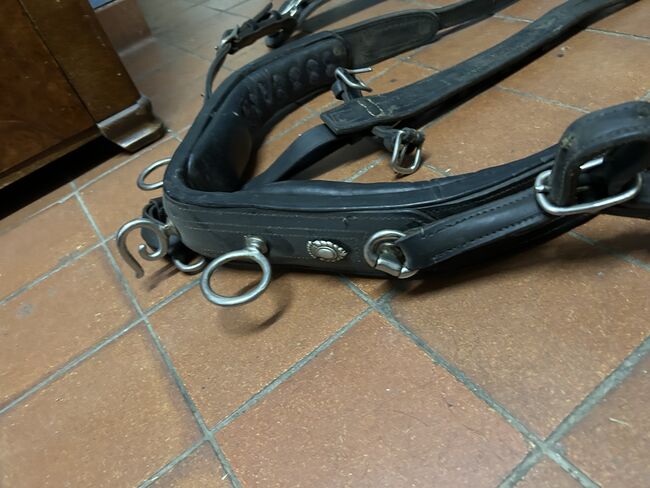 Kellinghusen 2-spänner Geschirr, Geraldine Wiedemann, Horse Harness, Leubsdorf, Image 17