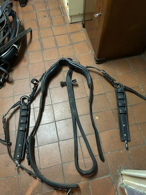 Kellinghusen 2-spänner Geschirr, Geraldine Wiedemann, Horse Harness, Leubsdorf, Image 4