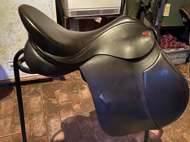 Kent & masters high withered gp, Kent & Masters HGD, Nicole Watson , All Purpose Saddle, Laurencekirk, Image 7