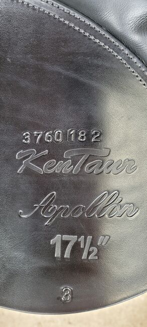 Kentaur Apollon VS Springsattel, Kentaur  Apollon , Bettina Paukens , All Purpose Saddle, Issum , Image 9