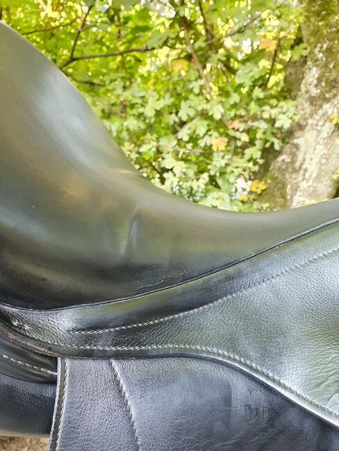 Kentaur Dressursattel Elektra, Kentaur Elektra, Merle Bartling, Dressage Saddle, Zierenberg, Image 5