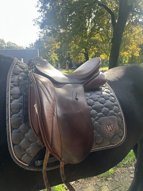 Kentaur elektra 18 inch inruilen voor western zadel, Kentaur  Elektra, Carla, Dressage Saddle, Bergen L, Image 2