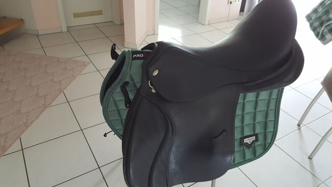 Kentaur Vielseitigkeitssattel -Danae CountryLeder-, Kentaur DANAE, Marion  , All Purpose Saddle, Pforzheim