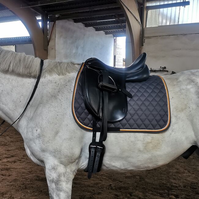 Kentaur Ithaka 17 "/4 schwarz, Kentaur Ithaka, Marissa Drescher, Dressage Saddle, Langenselbold, Image 9