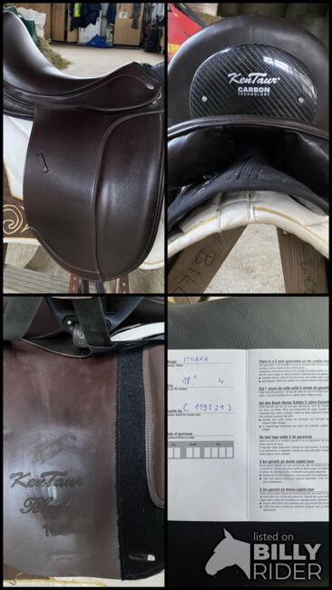 Kentaur Ithaka 18“ - 3/4 Jahr alt Havanna, Kentaur  Ithaka, Nicole, Dressage Saddle, Bünde, Image 8