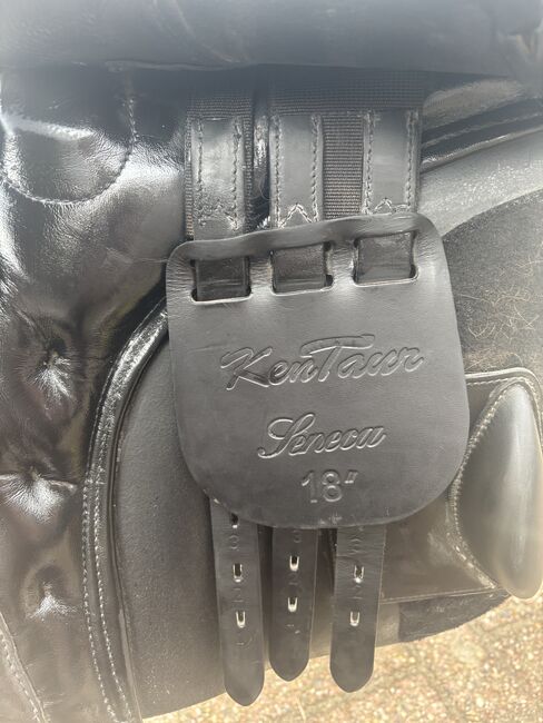Kentaur Sattel 18" VS, Kentaur  Seneca , Celina, All Purpose Saddle, Prötzel , Image 4