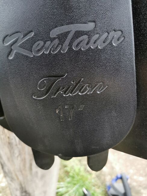 Kentaur Triton Springsattel, Kentaur  Triton, Daria Rosenthal , Jumping Saddle, Bad Grund, Image 2