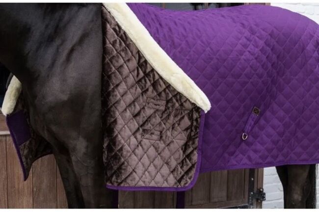 Kentucky Decke, Kentucky , Janaina Zimbres, Horse Blankets, Sheets & Coolers, Florstadt , Image 2