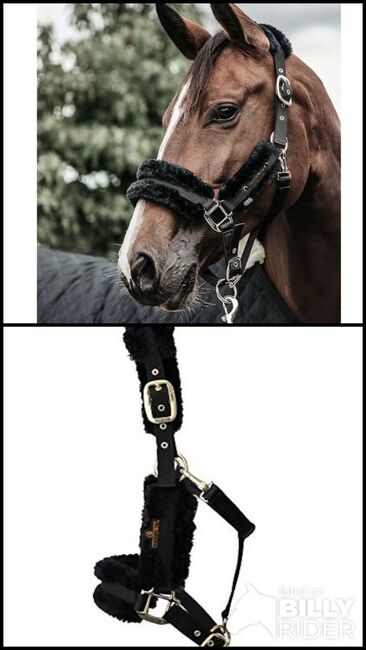 Kentucky Halfter, Kentucky  Fellhalfter, Jasmin, Nosebands, Fürth, Image 3