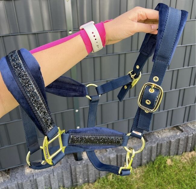 Kentucky Horseware Halfter COB, wie neu!, Kentucky Horseware, L. Koch, Halters, Paderborn, Image 3