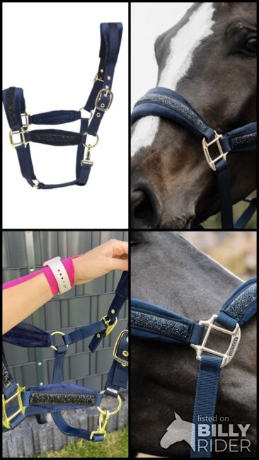 Kentucky Horseware Halfter COB, wie neu!, Kentucky Horseware, L. Koch, Halters, Paderborn, Image 5