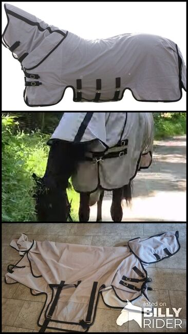 Kentucky Horsewear Mesh Fliegendecke - 155, Kentucky Horsewear, Céline, Horse Blankets, Sheets & Coolers, Worb, Image 4