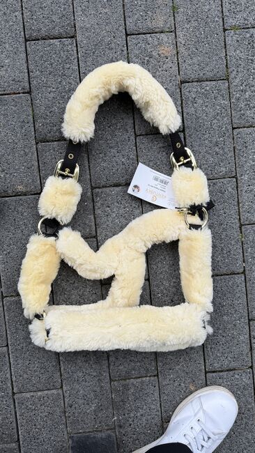 Kentucky Lammfell Halfter WB, Kentucky, Victoria , Halters, München