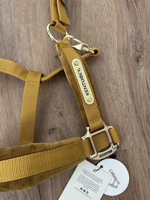 Kentucky velvet Halfter neu, Kentucky , Pferd , Halters, Velbert, Image 3