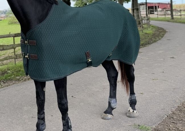 Kentucky Abschwitzdecke 4D pine green grün 165 cm, Kentucky , Laura , Horse Blankets, Sheets & Coolers, Köln , Image 2