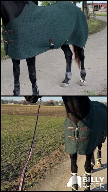 Kentucky Abschwitzdecke 4D pine green grün 165 cm, Kentucky , Laura , Horse Blankets, Sheets & Coolers, Köln , Image 3