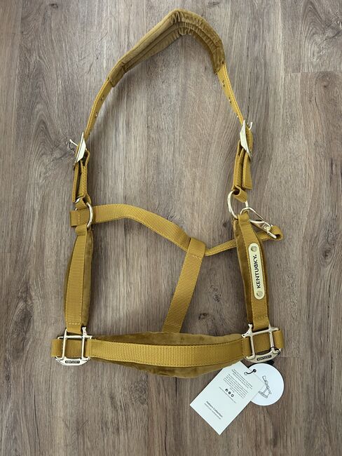 Kentucky velvet Halfter neu, Kentucky , Pferd , Halters, Velbert, Image 2
