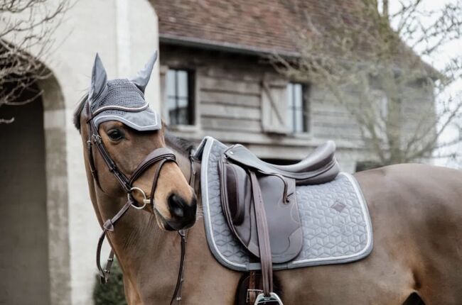 Kentucky Schabracke + Fliegenohren, Kentucky, Viktoria Fischereder, Dressage Pads, Pichl, Image 3