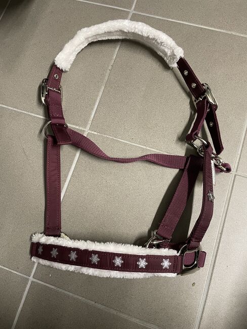 Christmas Collection Halfter, Showmaster, AF, Halters
