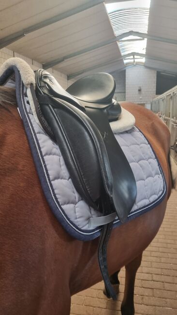 Dressursattel von Kiefer, Kiefer Passion  two, Julia , Dressage Saddle, Magdeburgerforth, Image 8