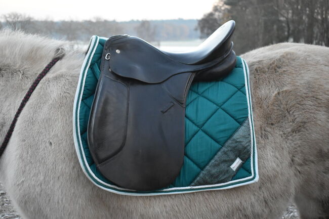 Kiefer lech Dressursattel, Blechinger , Dressage Saddle, Haltern am See