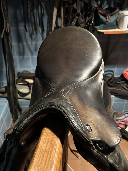 Kiefer Pony Dressursattel, Kiefer, Geraldine Wiedemann, Sattelgurte, Leubsdorf, Abbildung 2