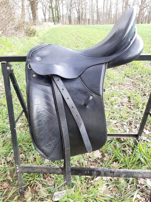 Kieffer Dressursattel 17,5 " Haflinger, Kieffer Lech, Laura C., Dressage Saddle, Lübeck, Image 4