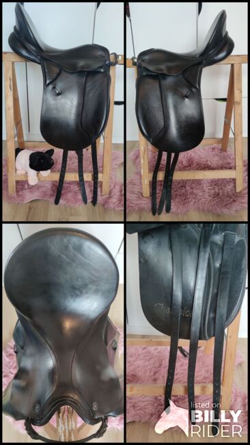 Kieffer Dressursattel - Sattel - Kiefer - Dressur, S. , Dressage Saddle, Weiden , Image 7