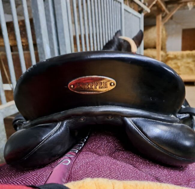 Kieffer Dressursattel Innsbruck, Kieffer Innsbruck, Sabine, Dressage Saddle, Tirschenreuth , Image 5