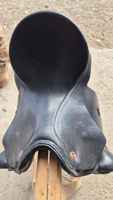 Kieffer Dressursattel, Kiefer, Sophie, Lambskin Pad, Oberwaltersdorf, Image 3