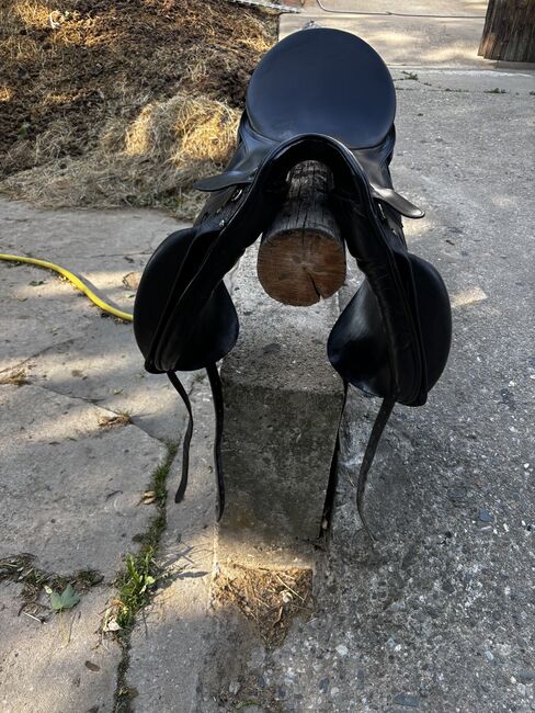 Kieffer Dressursattel, Kieffer Lech, Rothländer , Dressage Saddle, Gädheim, Image 2