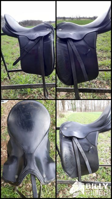 Kieffer Dressursattel 17,5 " Haflinger, Kieffer Lech, Laura C., Dressage Saddle, Lübeck, Image 7
