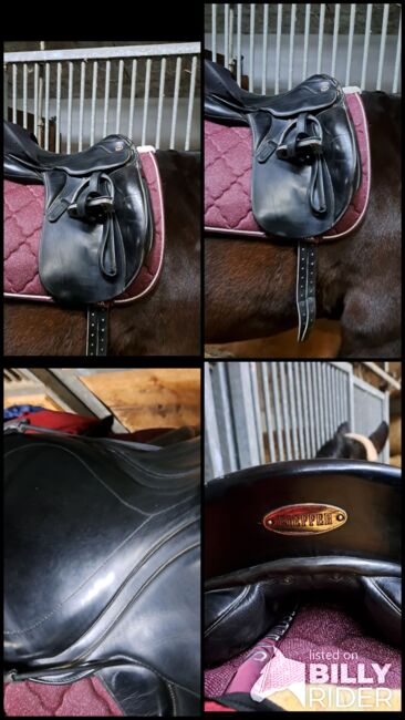 Kieffer Dressursattel Innsbruck, Kieffer Innsbruck, Sabine, Dressage Saddle, Tirschenreuth , Image 8