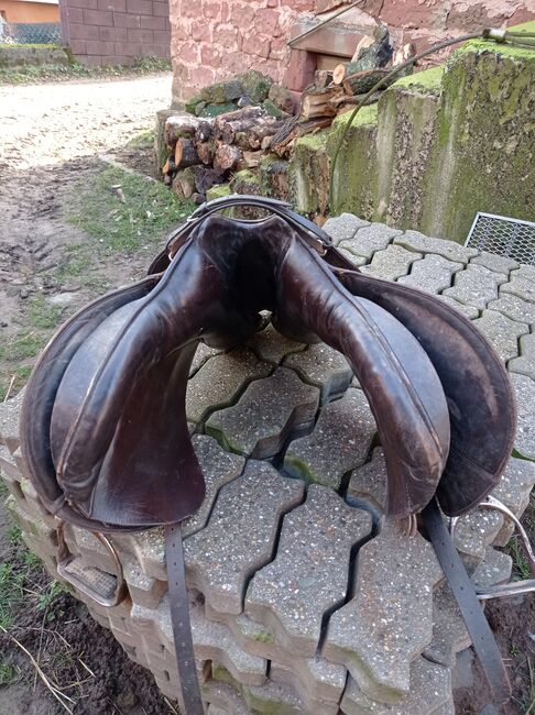 Kieffer DS Aachen, Kieffer  Aachen , Bianca Fath , Dressage Saddle, Höheischweiler , Image 2