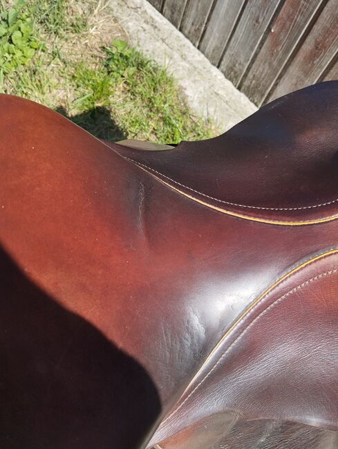 Kieffer Europe CT, Kieffer Europe Ct Silverline, Lena Grimm, All Purpose Saddle, Markersdorf , Image 7