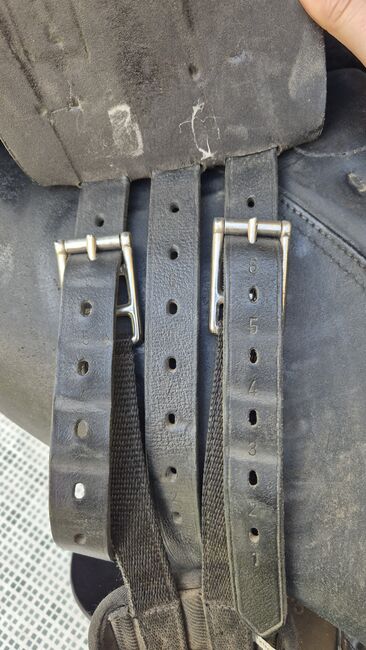 Kieffer Vielseitigkeitssattel, Sophie, All Purpose Saddle, Oberwaltersdorf, Image 2
