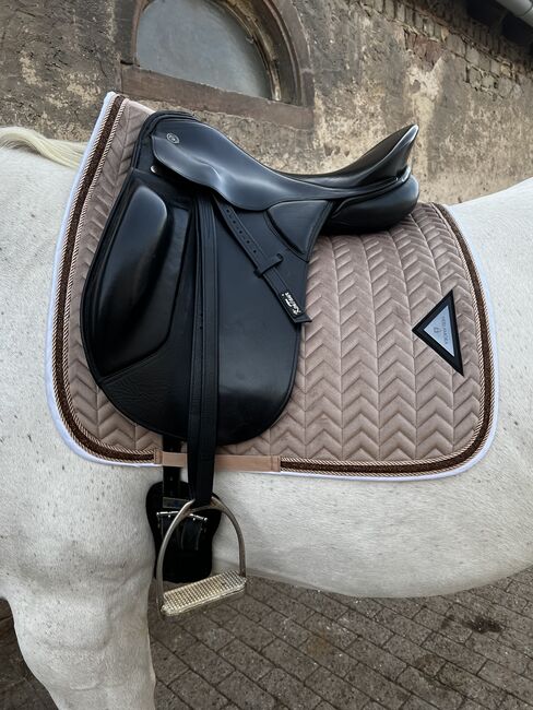 Kieffer Lech Dressursattel, Kieffer Lech, Sophia, Dressage Saddle, Eisenberg (Pfalz)